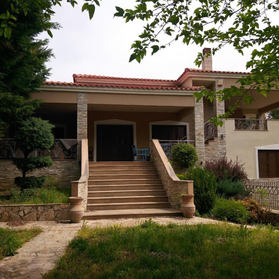 Arxontiko Vetrina Vétrina Exterior foto
