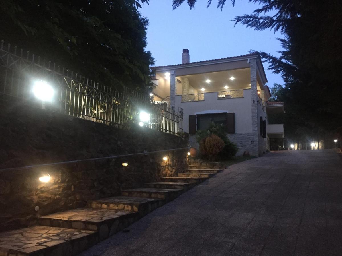 Arxontiko Vetrina Vétrina Exterior foto