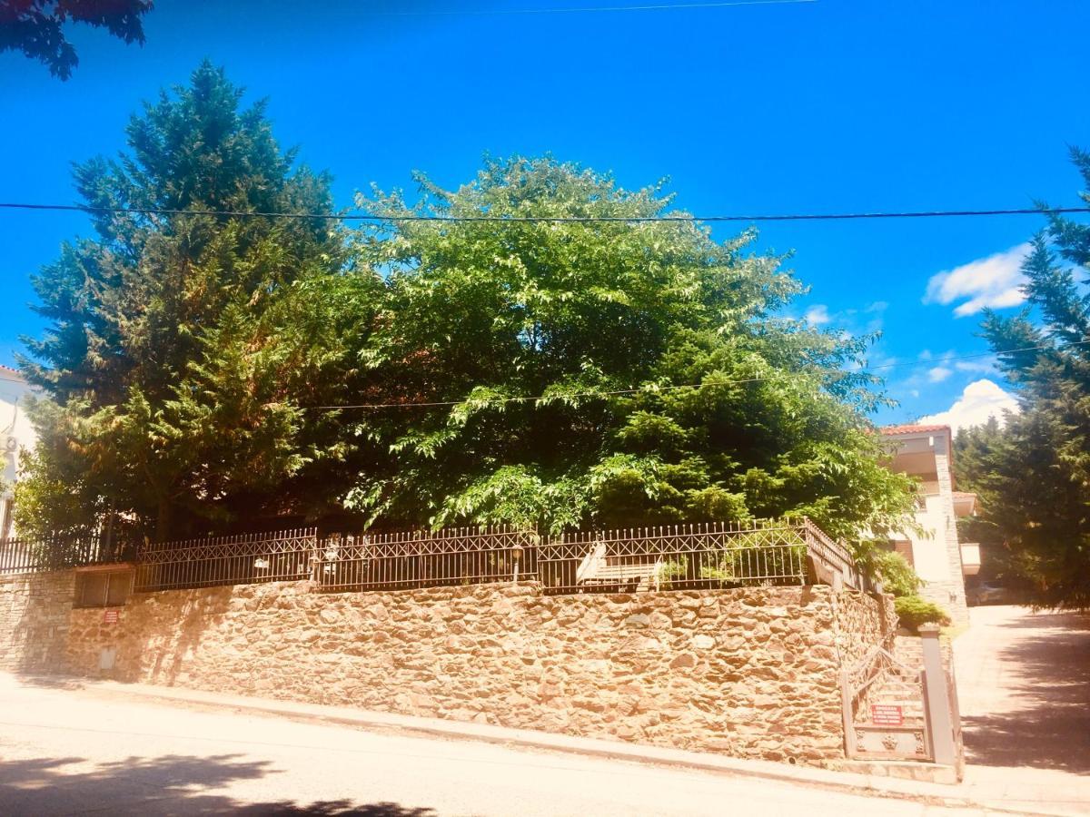 Arxontiko Vetrina Vétrina Exterior foto